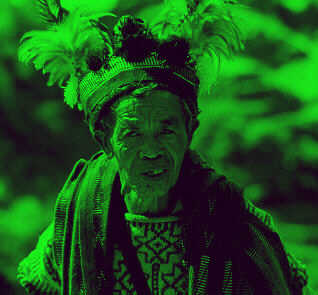 Darstellung des gr&uuml;nen Bildanteiles auf dem Bildschirm